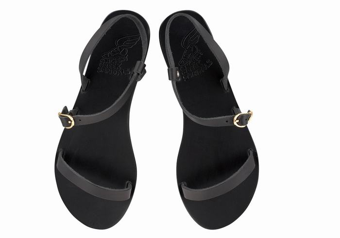 Sandales Bride Arrière Ancient Greek Sandals Niove Leather   | QWG-6660525